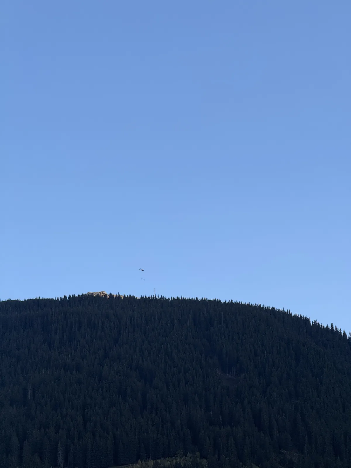 Helikopter mit Last über einem bewaldeten Berg in Graubünden